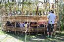 Petites Histoires de la Foret 1 * 5184 x 3456 * (11.24MB)